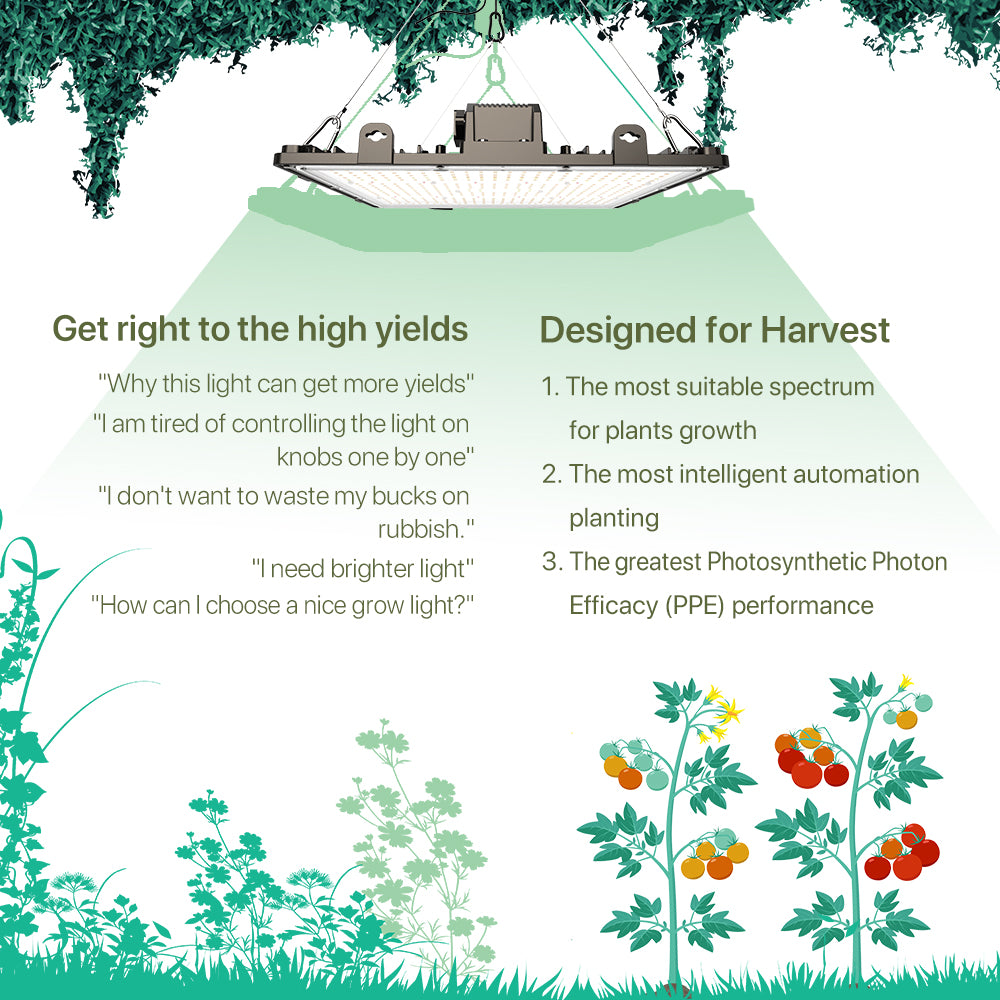 Step 2 Choose Your Grow Light What kind of light do you need to gro HiGroplanner