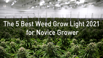The 5 Best Weed Grow Light 2021 for Novice Grower