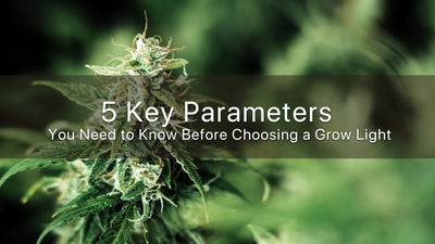 5 Key Parameters You Need to Know Before Choosing a Grow Light
