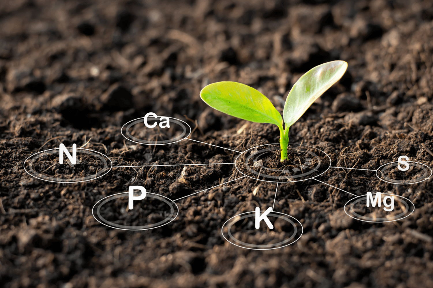 Root Ph Step 4B: Nutrients, continued: The Importance of Root pH – Hi-Groplanner