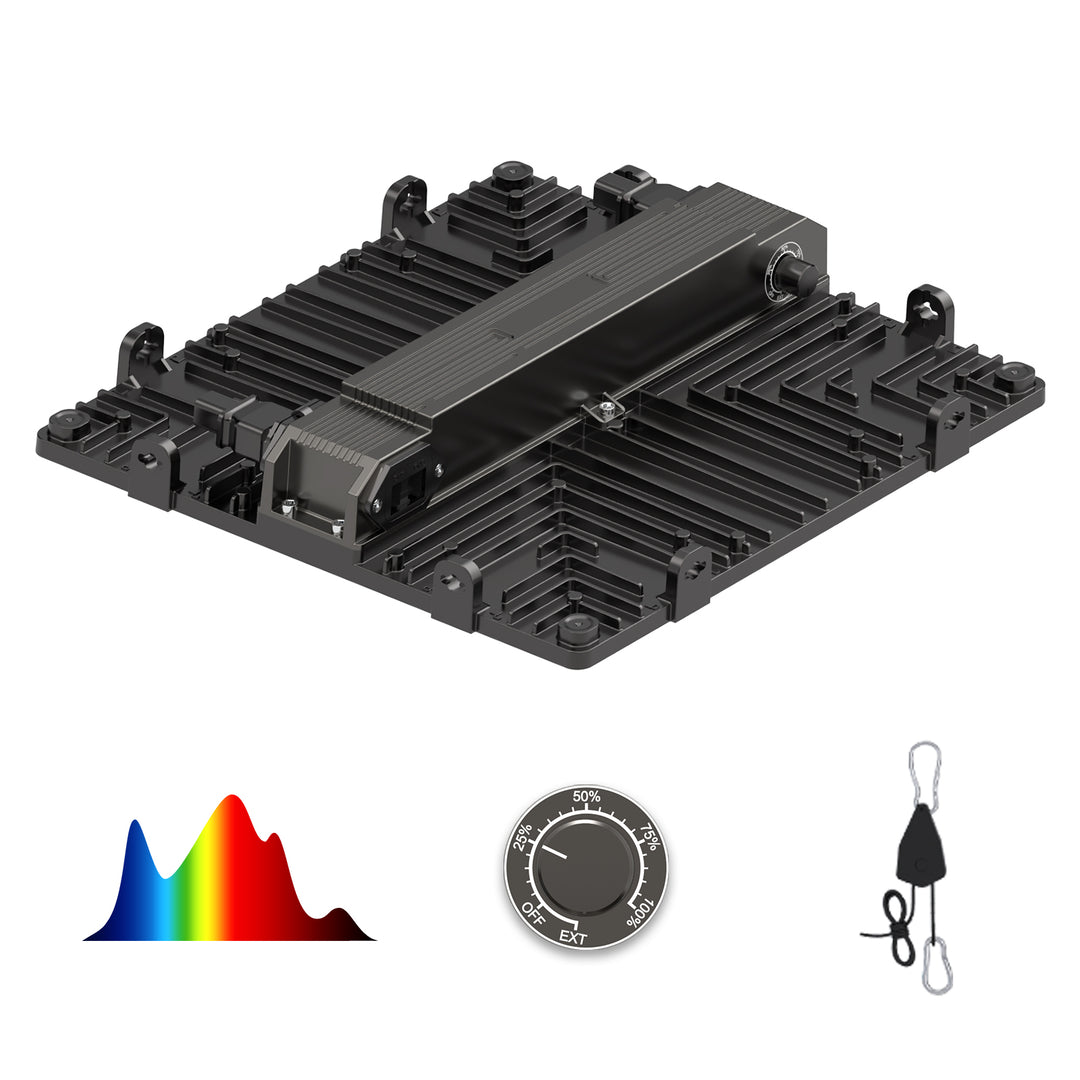 1.0.1psd_1080x.jpg?v=1656664347