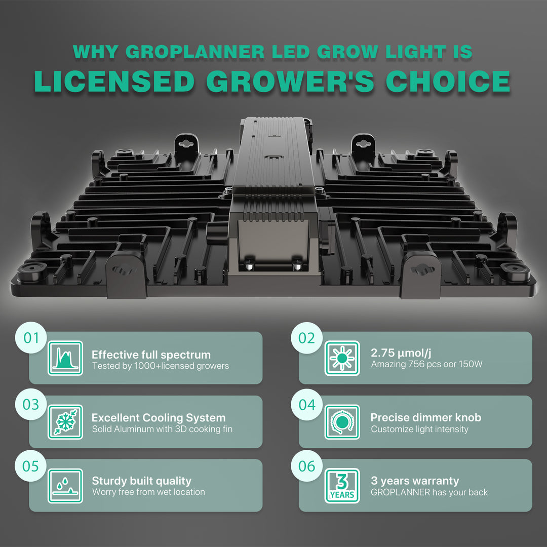 2_1080x.jpg?v=1656664349